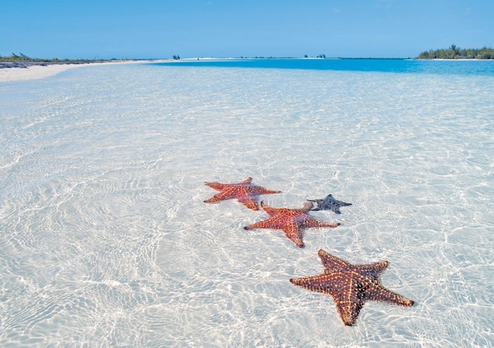 Beaches of Cuba Beaches of Cuba