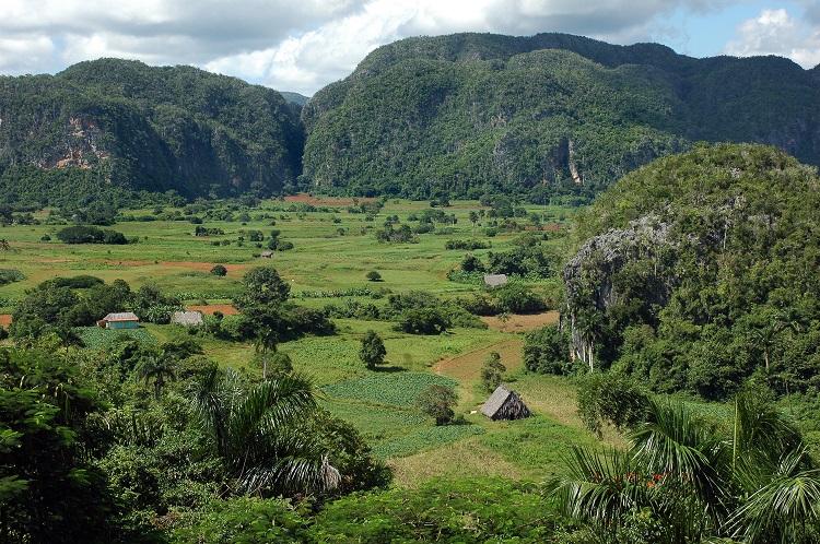 Viñales Valley, Pinar del Río, Cuba Viñales Valley, Pinar del Río, Cuba
