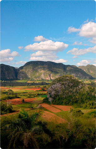 Viñales