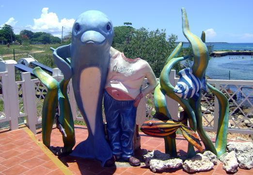 Delfinario de Cienfuegos Delfinario de Cienfuegos