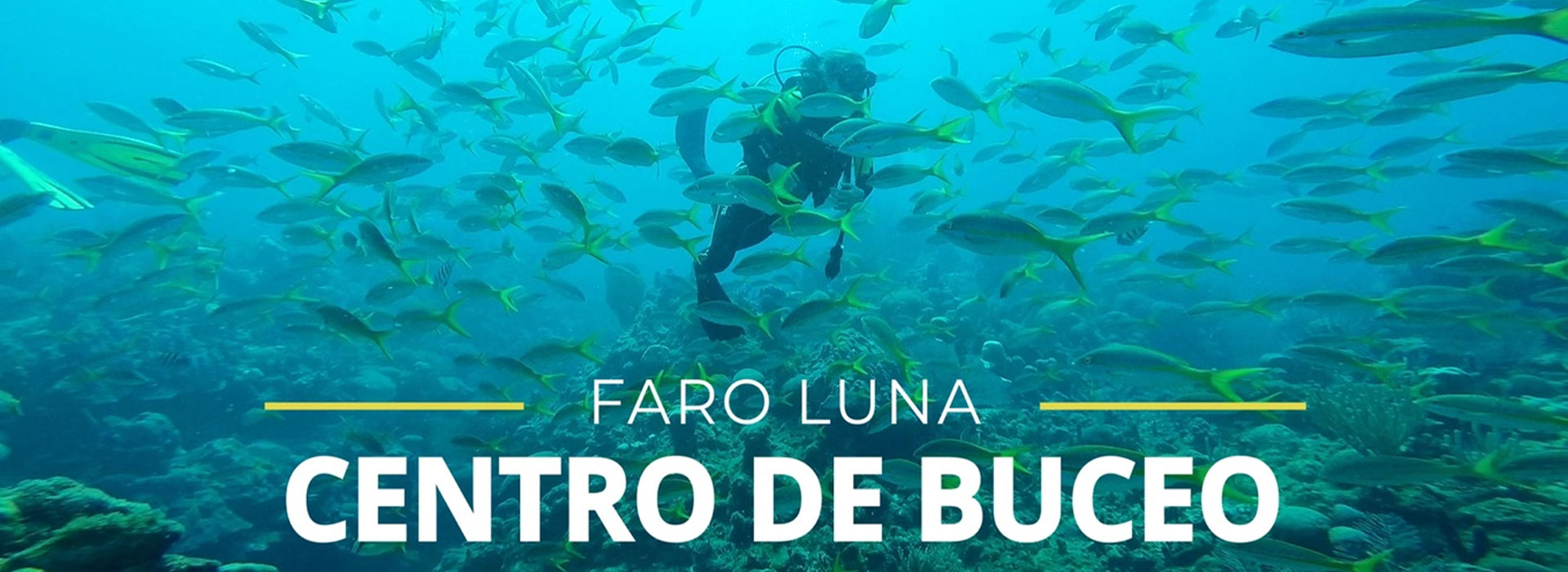 Seabed (diving). Cienfuegos. Cuba Travel