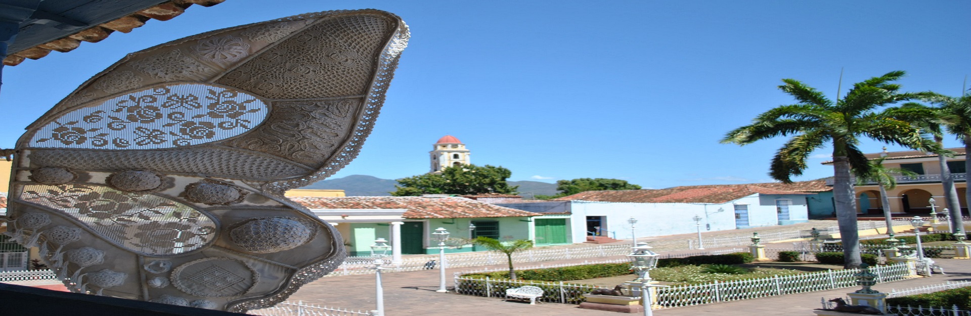 Work Butterfly Wings, Yudith Vidal Faife, Trinidad, Sancti Spíritus 