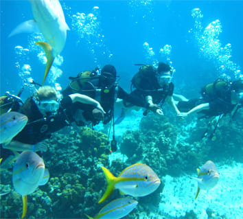 Matanzas Varadero Site Officiel Du Tourisme De Cuba