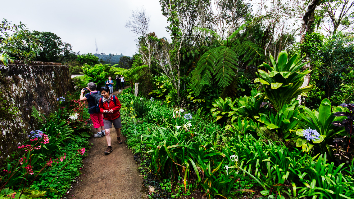 La Siberia, actual jardín de plantas ornamentales