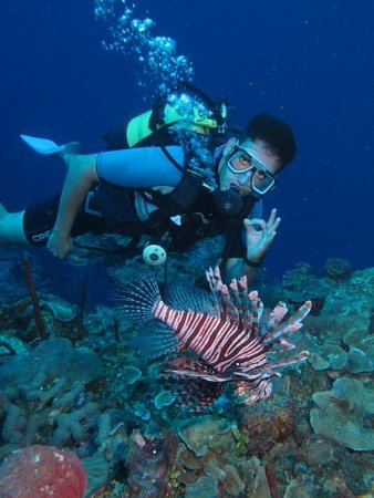 Buceo en Cuba Buceo en Cuba