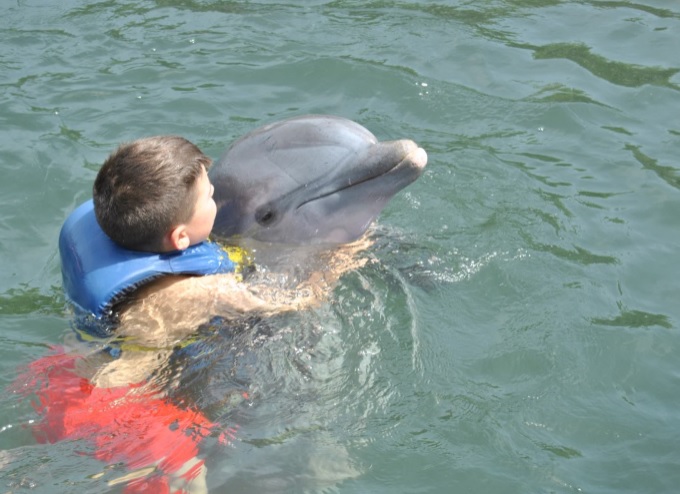 Baño con delfines, Cienfuegos, Cuba Travel Baño con delfines, Cienfuegos, Cuba Travel