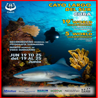 19 World Championship of underwater photography