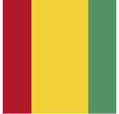 bandera de la República de Guinea